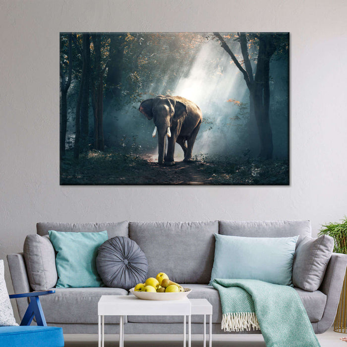 ElephantStock African Forest Elephant Wall Art