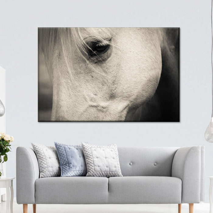 ElephantStock White Horse Eye Wall Art