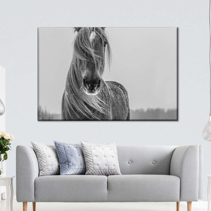 ElephantStock Winter Horse Wall Art