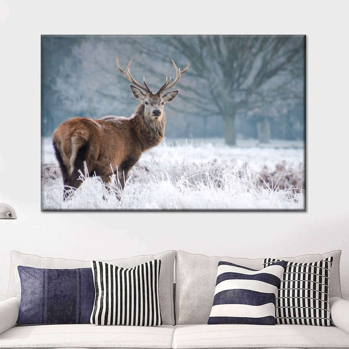 ElephantStock Deer Stare Wall Art