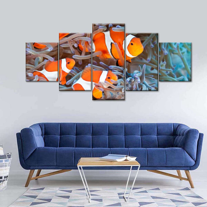 ElephantStock Clown Fish Wall Art