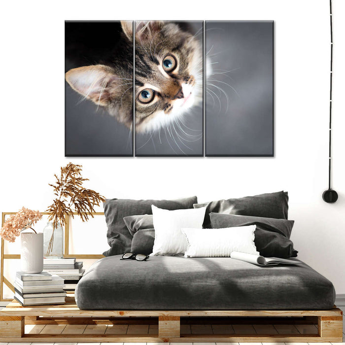 ElephantStock A Cat Wall Art