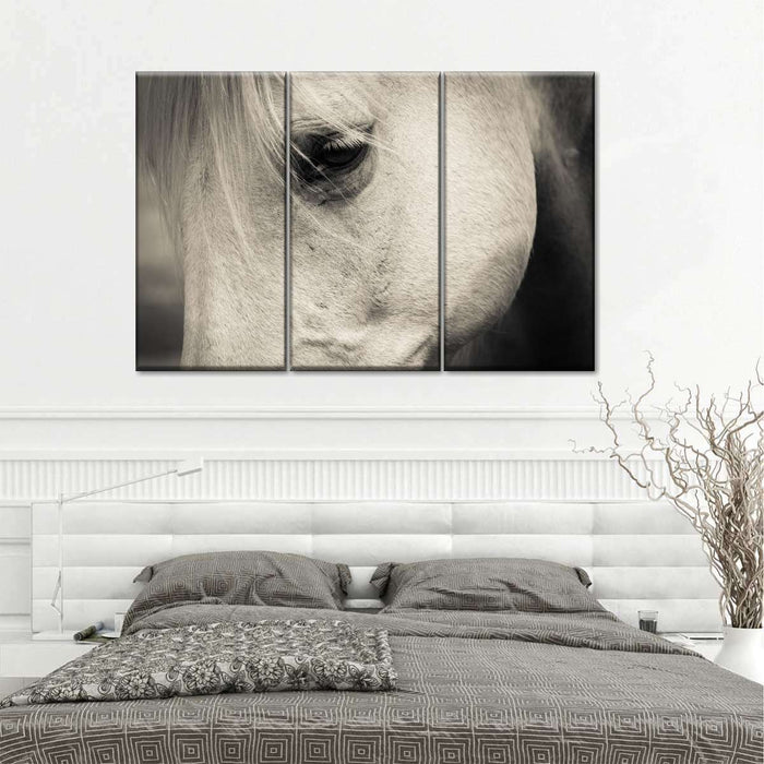 ElephantStock White Horse Eye Wall Art