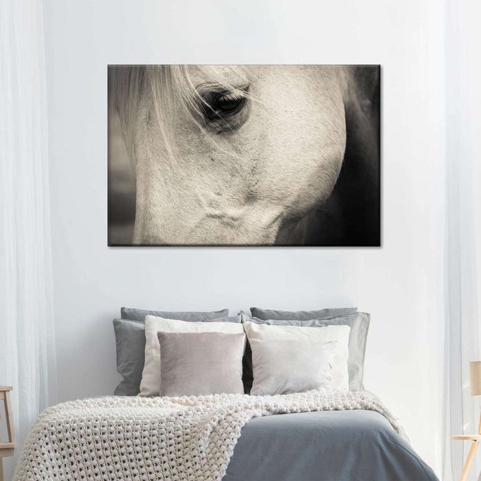 ElephantStock White Horse Eye Wall Art