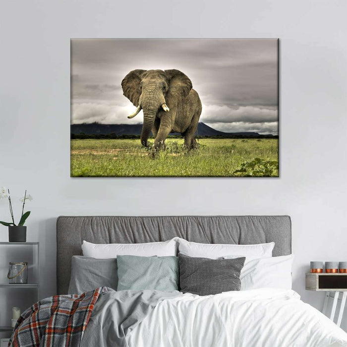 ElephantStock Elephant Landscape Wall Art