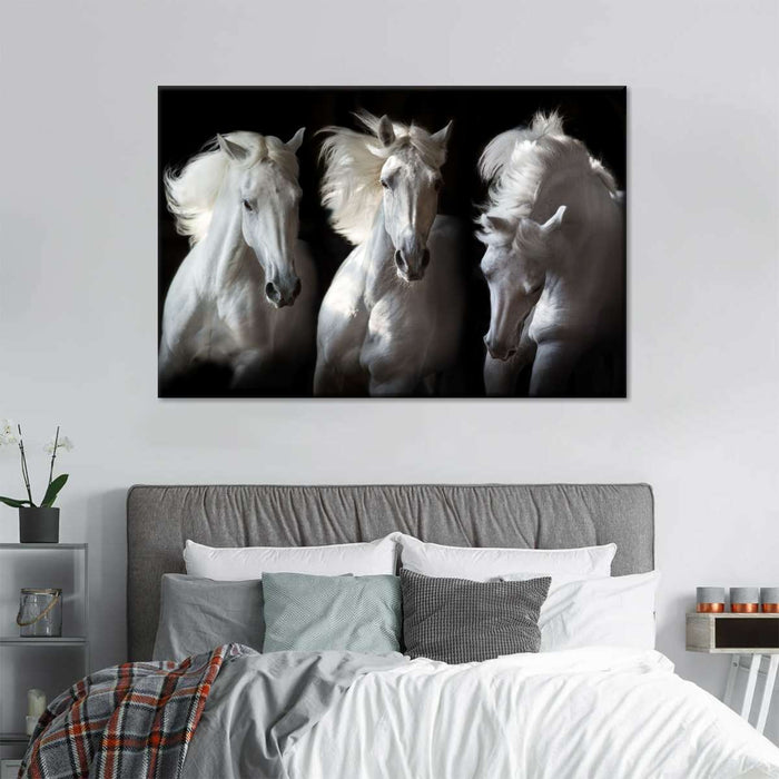 ElephantStock Three White Horses Wall Art