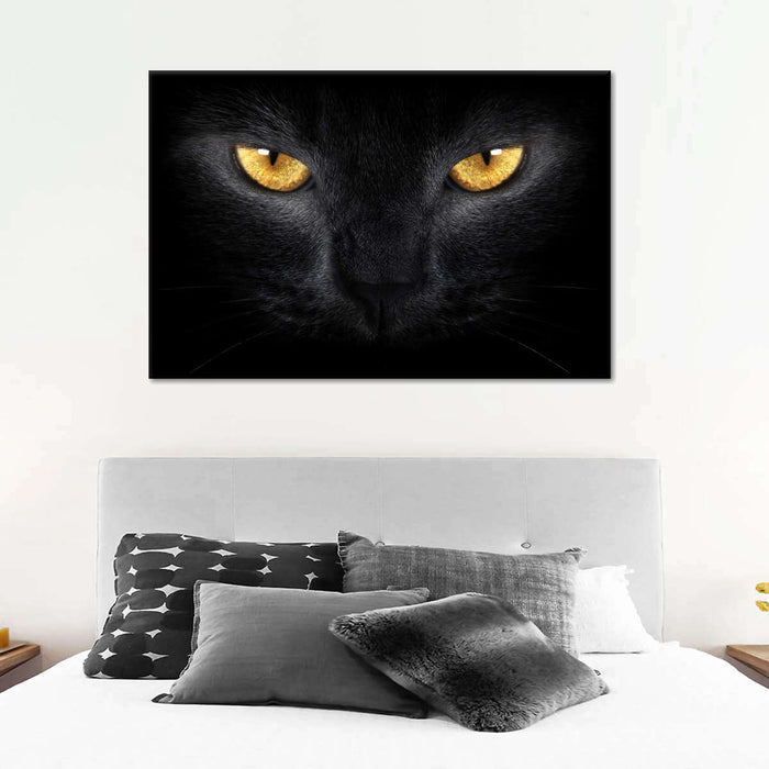 ElephantStock Yellow Eyed Cat Wall Art