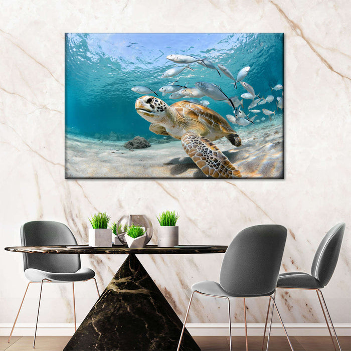 ElephantStock Curacao Fish And Turtle Wall Art