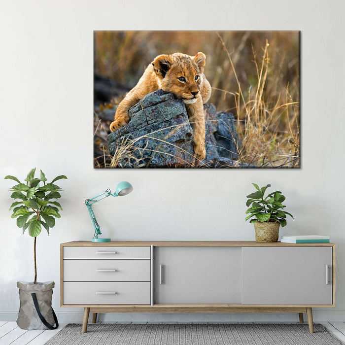 ElephantStock Safari Lion Cub Wall Art