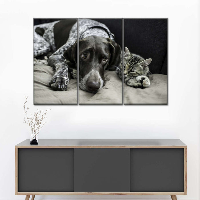 ElephantStock Dog And Cat Friends Wall Art