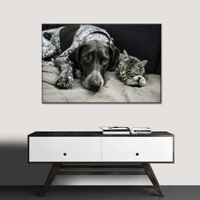 ElephantStock Dog And Cat Friends Wall Art