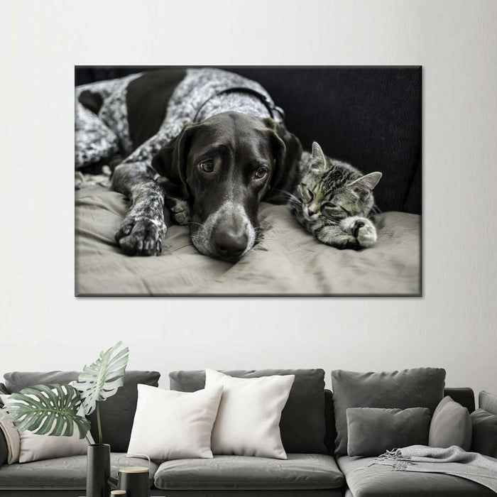 ElephantStock Dog And Cat Friends Wall Art