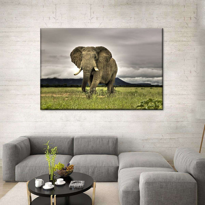 ElephantStock Elephant Landscape Wall Art