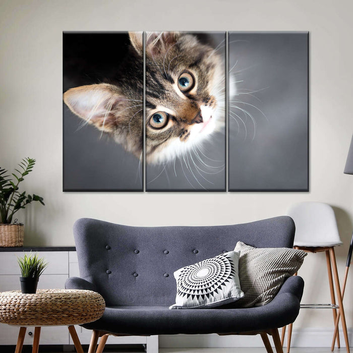 ElephantStock A Cat Wall Art