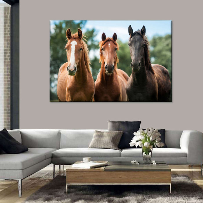 ElephantStock Young Horses Wall Art