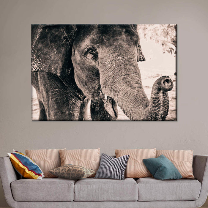 ElephantStock Elephant Up Close Wall Art