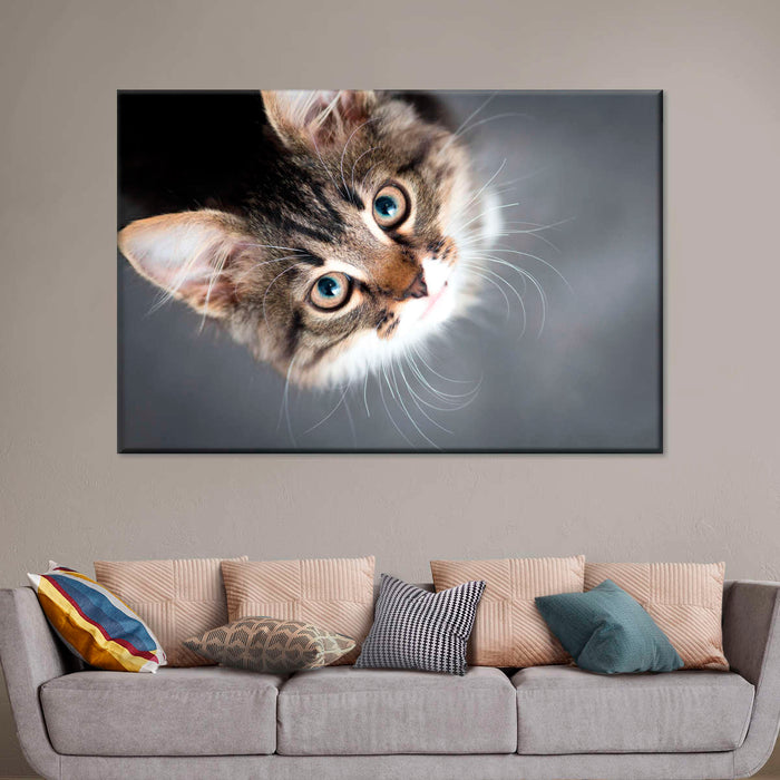 ElephantStock A Cat Wall Art