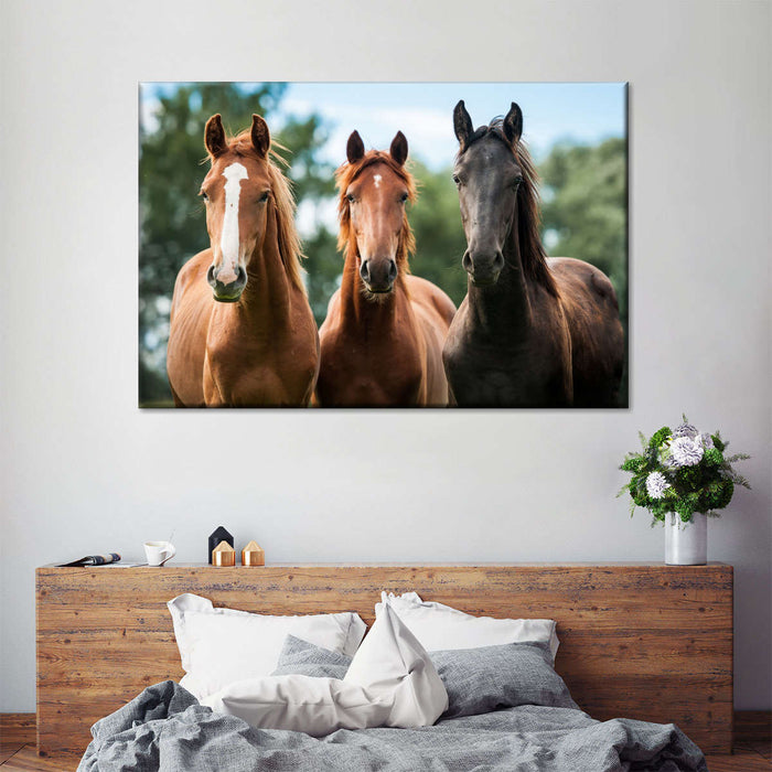 ElephantStock Young Horses Wall Art