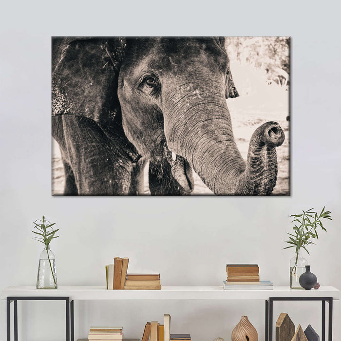 ElephantStock Elephant Up Close Wall Art