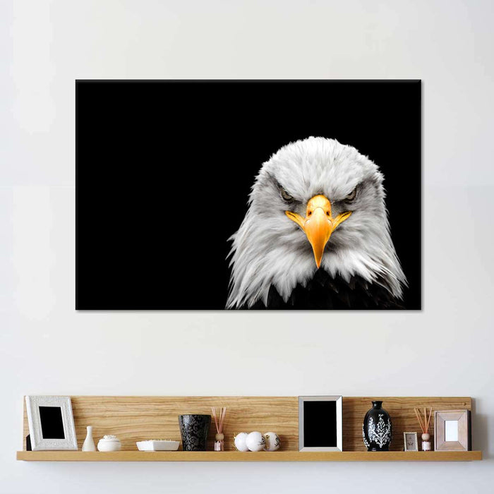 ElephantStock Angry Bald Eagle Wall Art