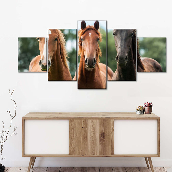 ElephantStock Young Horses Wall Art