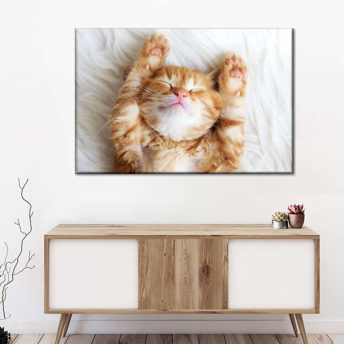 ElephantStock Sleepy Kitty Wall Art