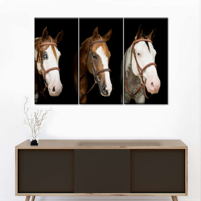 ElephantStock American Paint Horses Wall Art