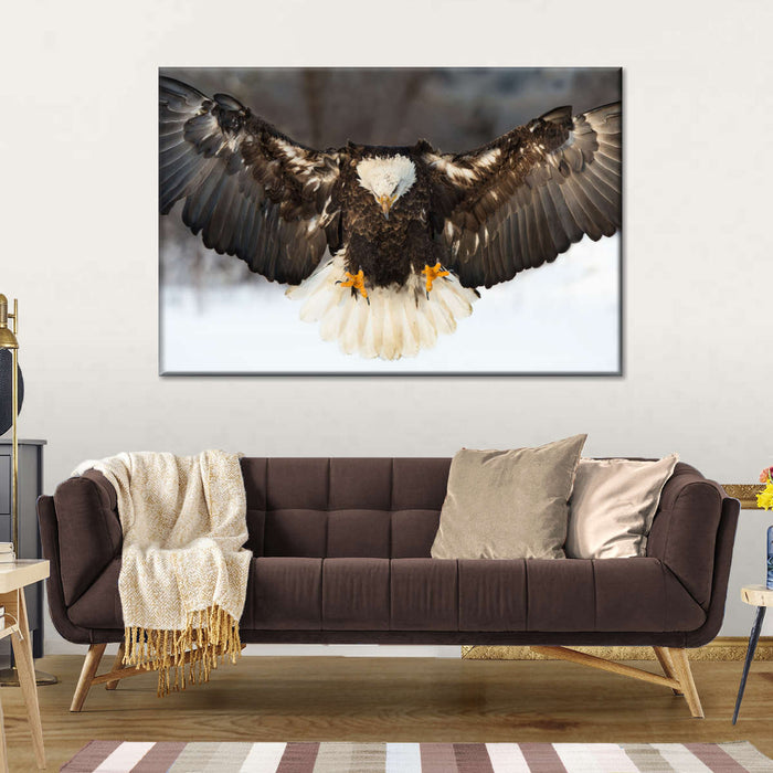 ElephantStock Bald Eagle Landing Wall Art