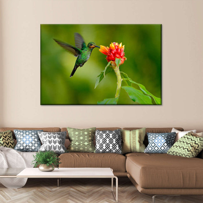 ElephantStock Flower And Green Hummingbird Wall Art