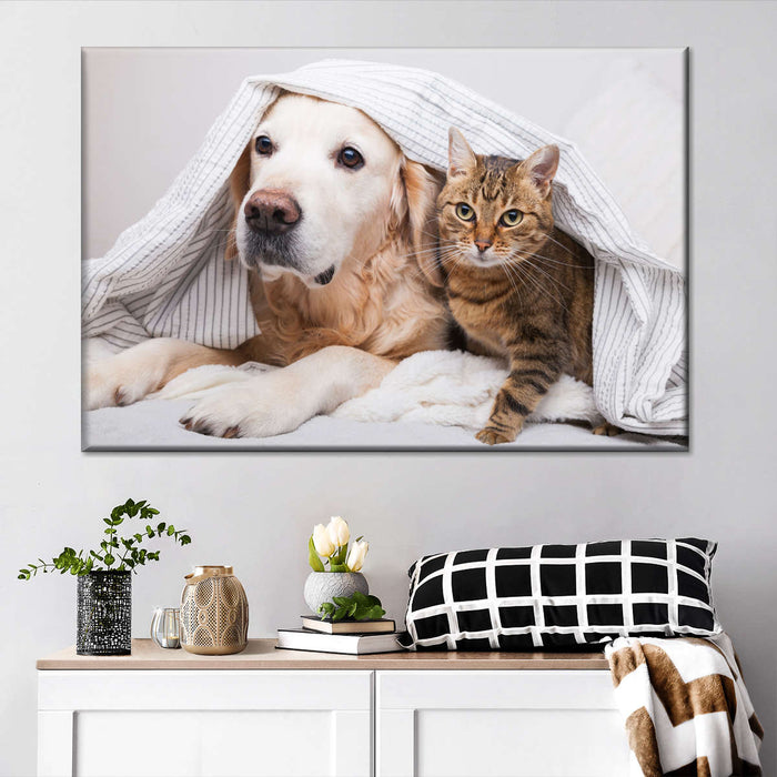 ElephantStock Cozy Dog And Cat Wall Art