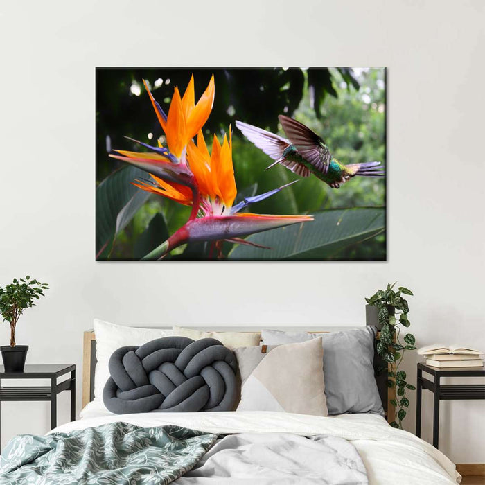 ElephantStock Flying Hummingbird Wall Art