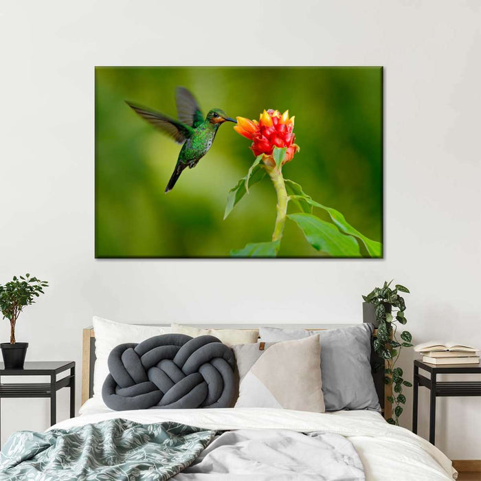 ElephantStock Flower And Green Hummingbird Wall Art