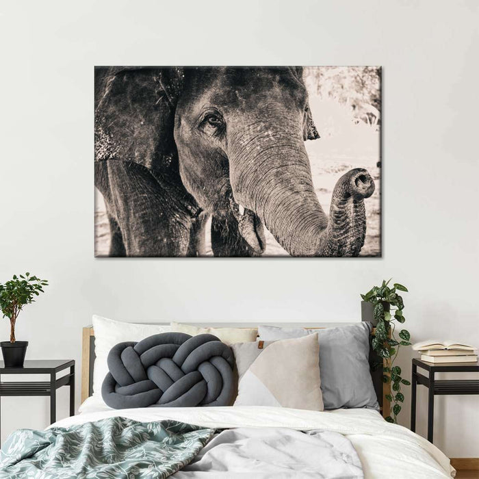 ElephantStock Elephant Up Close Wall Art