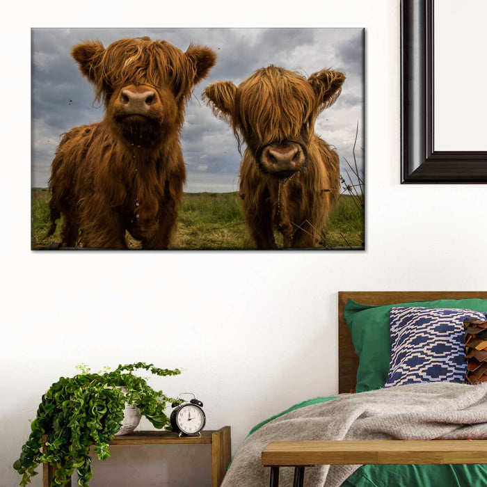 ElephantStock Baby Highland Cows Wall Art