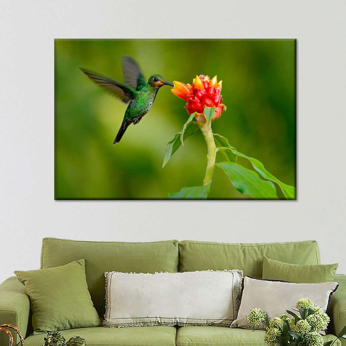 ElephantStock Flower And Green Hummingbird Wall Art