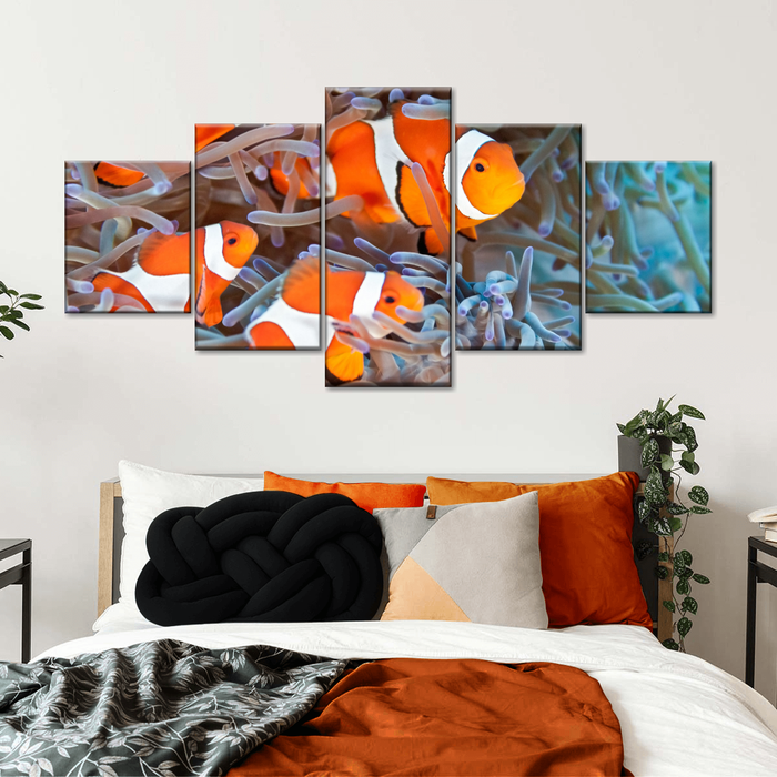 ElephantStock Clown Fish Wall Art