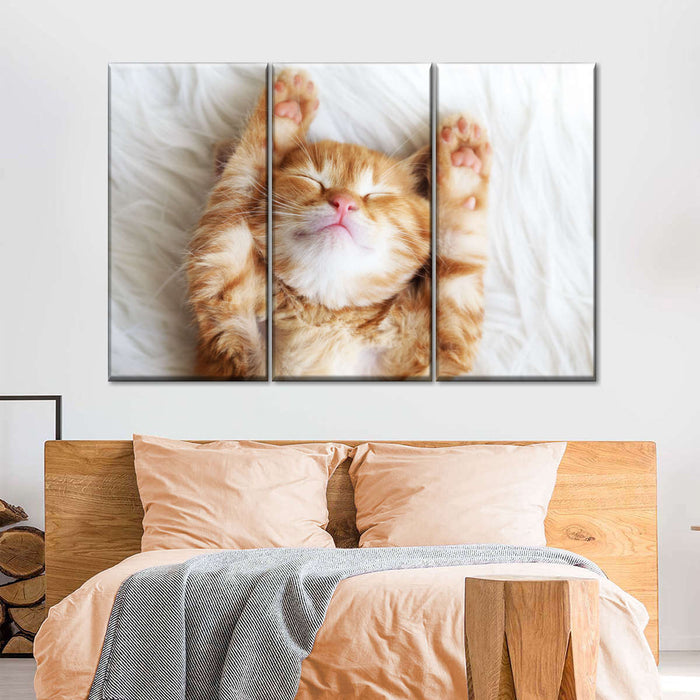 ElephantStock Sleepy Kitty Wall Art