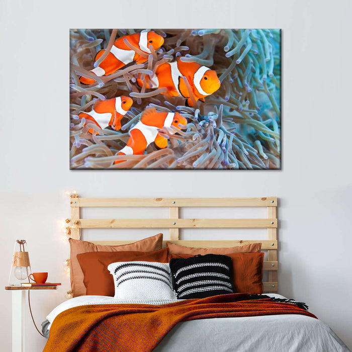 ElephantStock Clown Fish Wall Art