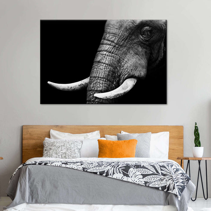 ElephantStock Elephant Close Up Wall Art