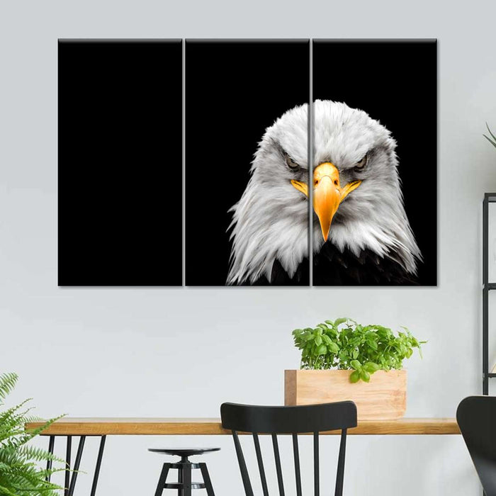 ElephantStock Angry Bald Eagle Wall Art