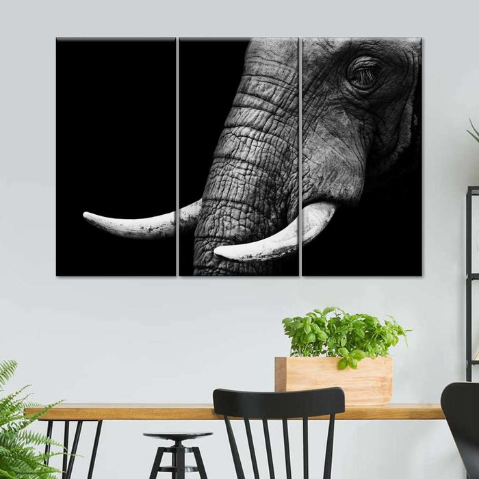 ElephantStock Elephant Close Up Wall Art