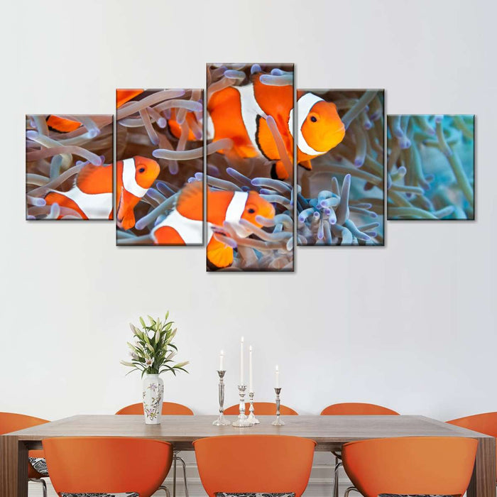 ElephantStock Clown Fish Wall Art