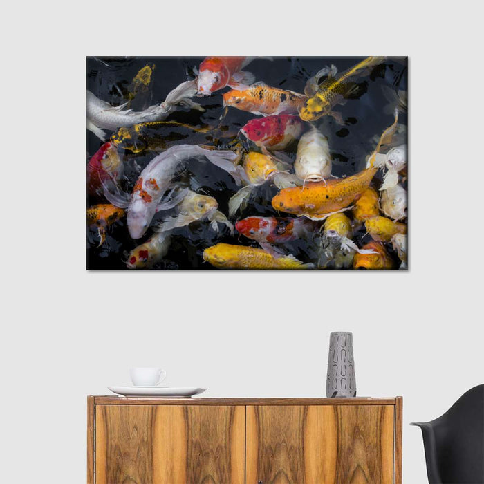 ElephantStock Abundant Koi Fish Wall Art