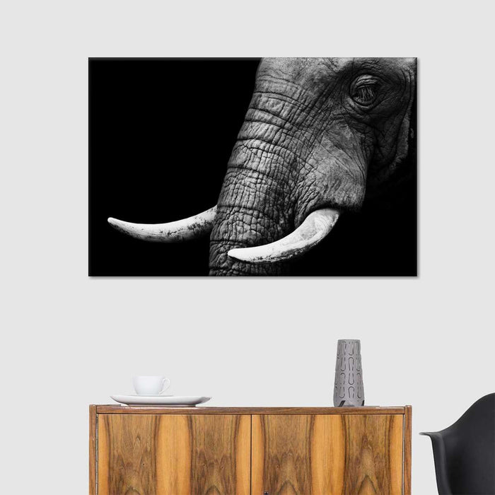 ElephantStock Elephant Close Up Wall Art