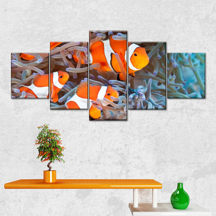 ElephantStock Clown Fish Wall Art