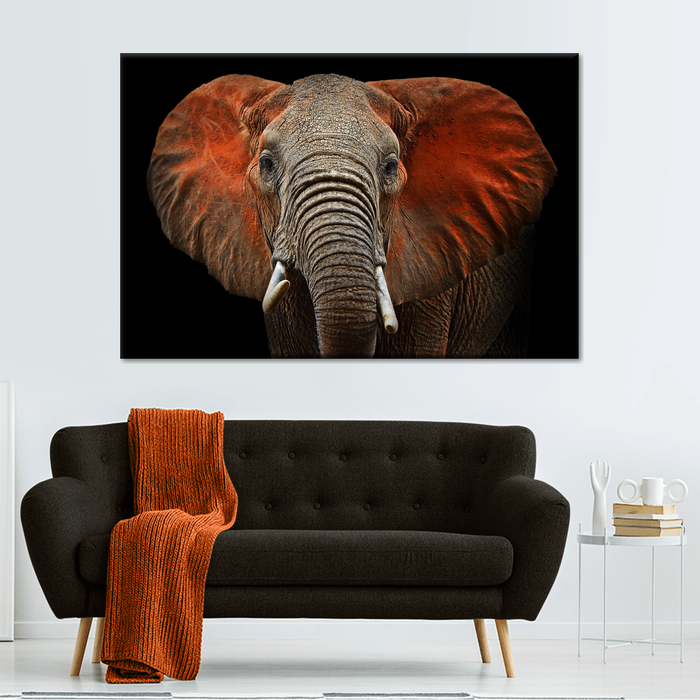 ElephantStock Elephant Portrait Wall Art