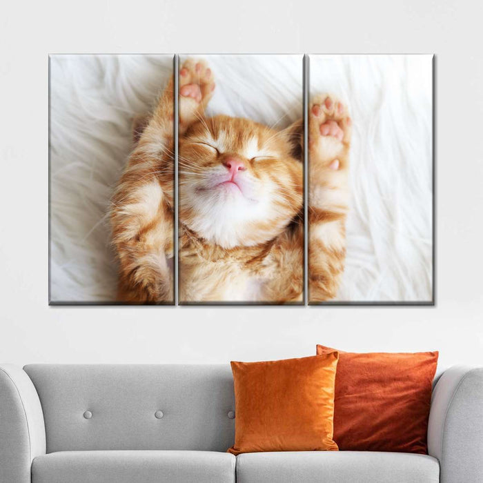 ElephantStock Sleepy Kitty Wall Art