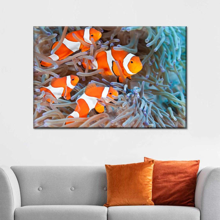 ElephantStock Clown Fish Wall Art