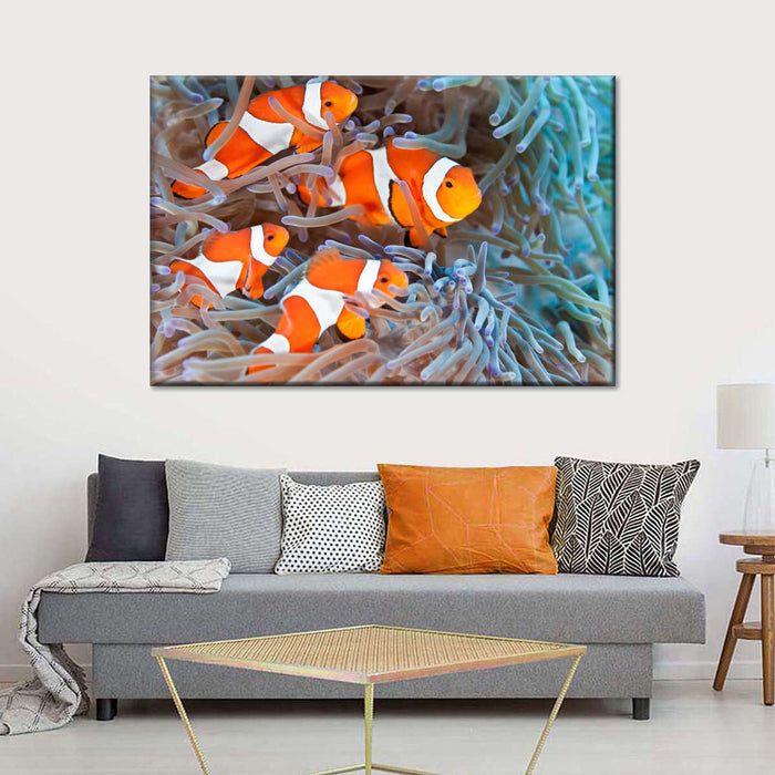 ElephantStock Clown Fish Wall Art