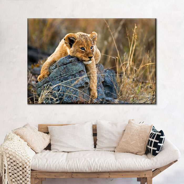 ElephantStock Safari Lion Cub Wall Art